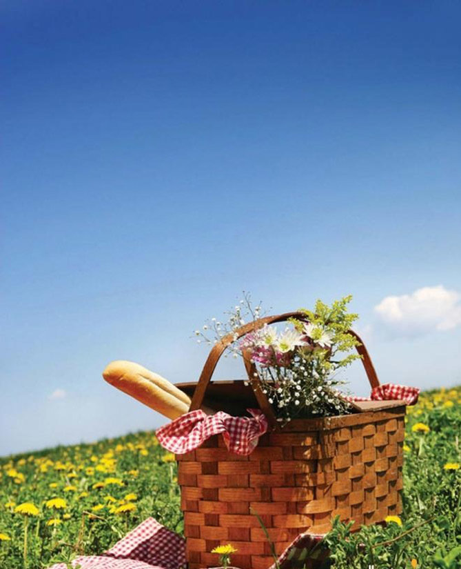 Фотография: Прочее в стиле , Декор интерьера, Дом, Праздник, Дача, Пикник – фото на INMYROOM Фотография: Прочее в стиле , Декор интерьера, Дом, Праздник, Дача, Пикник – фото на INMYROOM