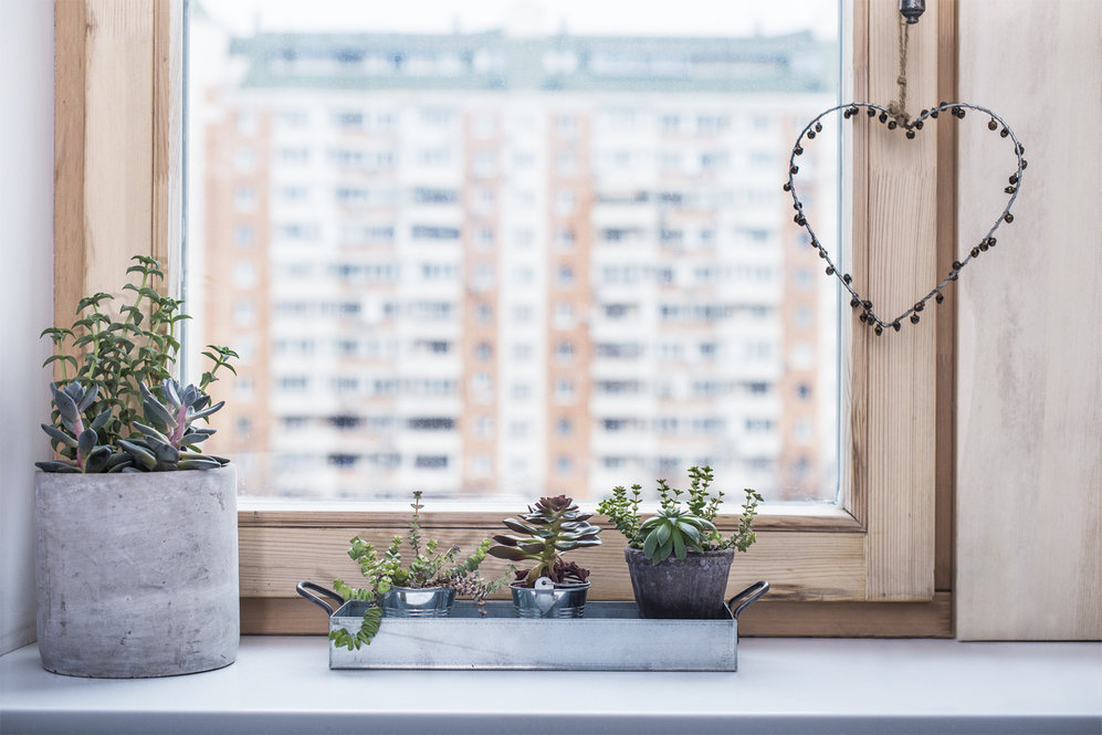 Фото: Дина Александрова