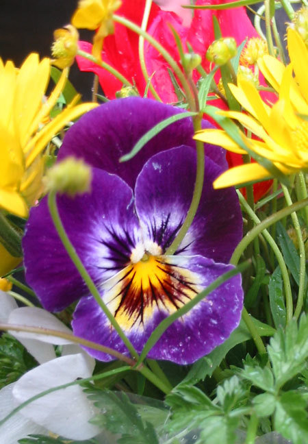 Фотография: Флористика в стиле , Декор интерьера, Дом, Стиль жизни, Цветы – фото на INMYROOM