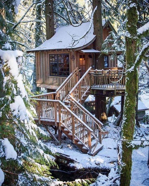 Фотография:  в стиле , Гид, Дом и дача, домик на дереве – фото на INMYROOM