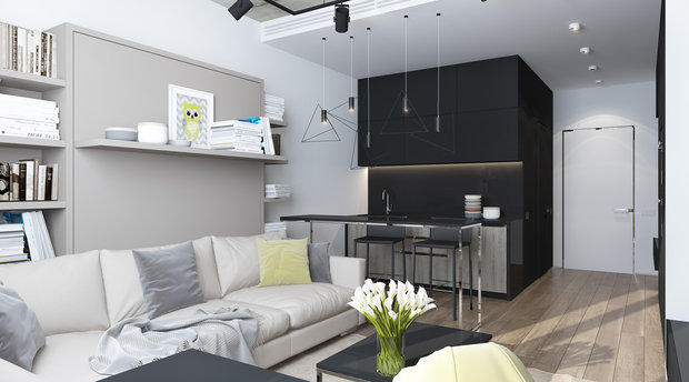 Фотография: Гостиная в стиле Минимализм, Лофт, Малогабаритная квартира, Квартира, Студия, Проект недели, Москва, Елена Потемкина, новостройка, Монолитный дом, до 40 метров – фото на INMYROOM