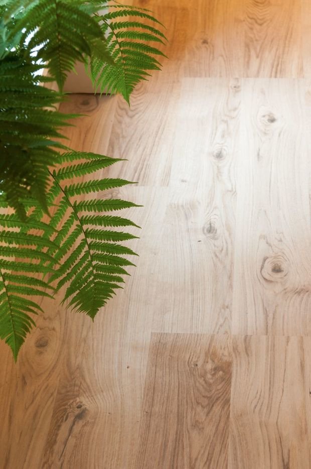 Фото из портфолио Corkstyle в телевизионных проектах – фотографии дизайна интерьеров на InMyRoom.ru