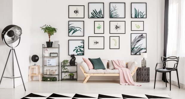 Фотография: Гостиная в стиле Эко, Советы, растения в горшках в интерьере, растения для интерьера, энциклопедия_декор, Леруа Мерлен, Leroy Merlin, растения, как обновить интерьер с помощью растений – фото на INMYROOM