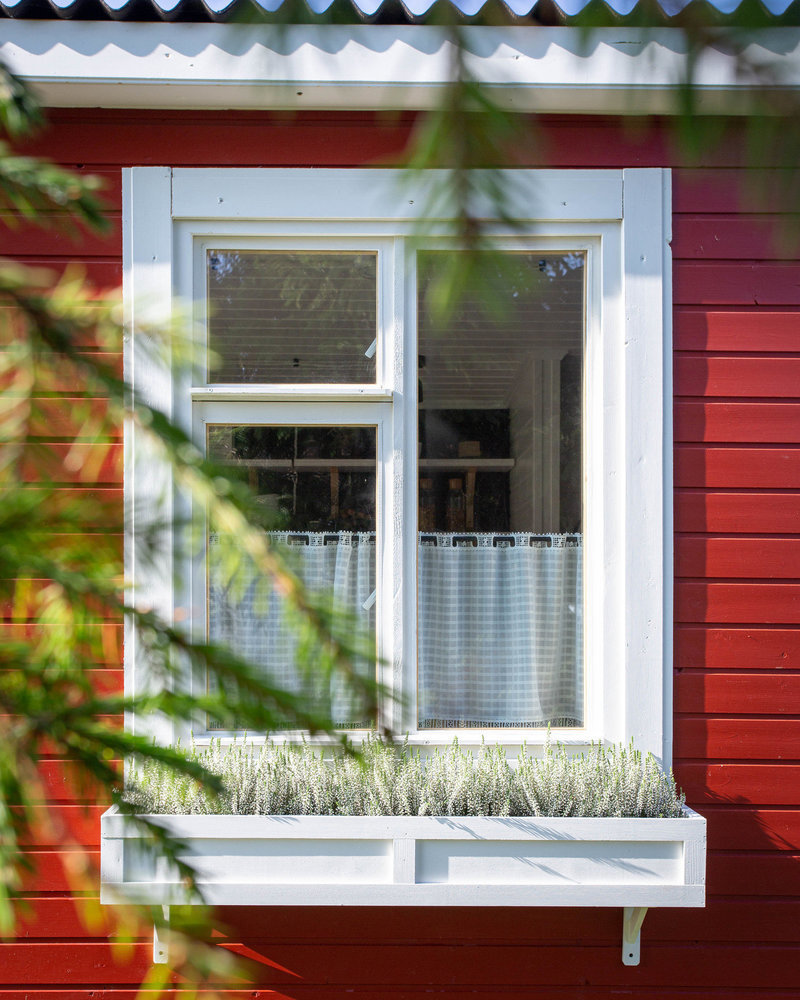 Дизайн: Аида Беглова Дизайн: Аида Беглова