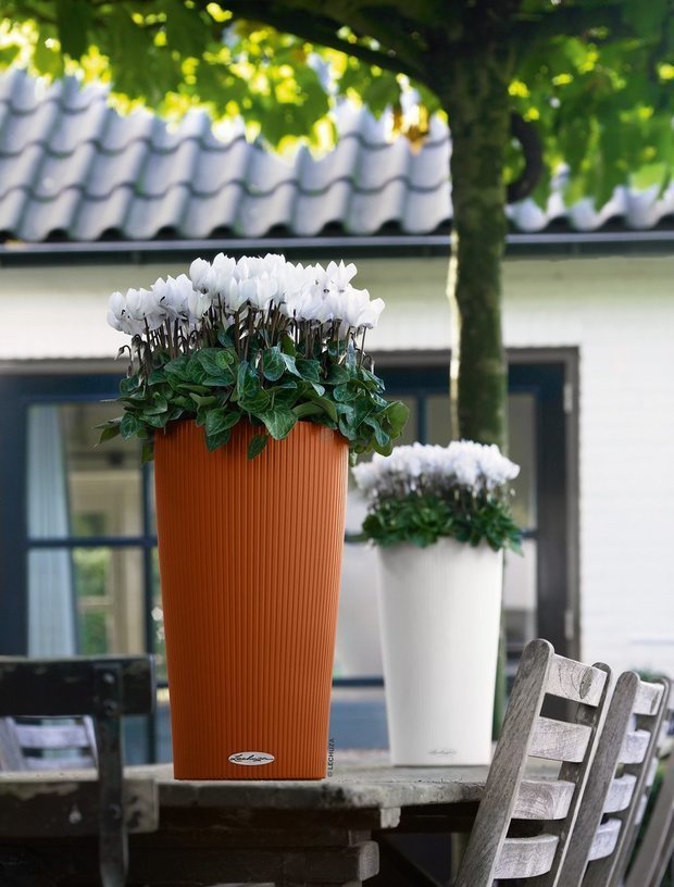 Фото из портфолио LECHUZA CILINDRO Color – фотографии дизайна интерьеров на INMYROOM