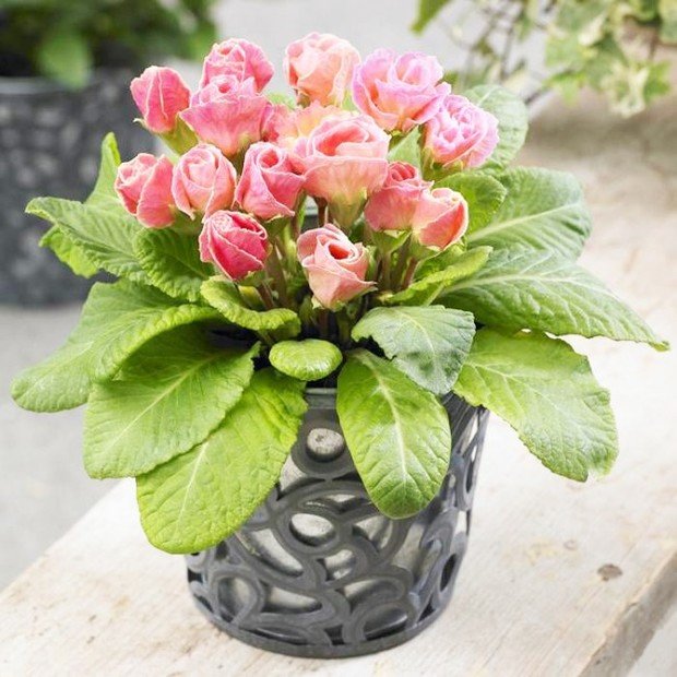 Фото из портфолио моя работа – фотографии дизайна интерьеров на INMYROOM