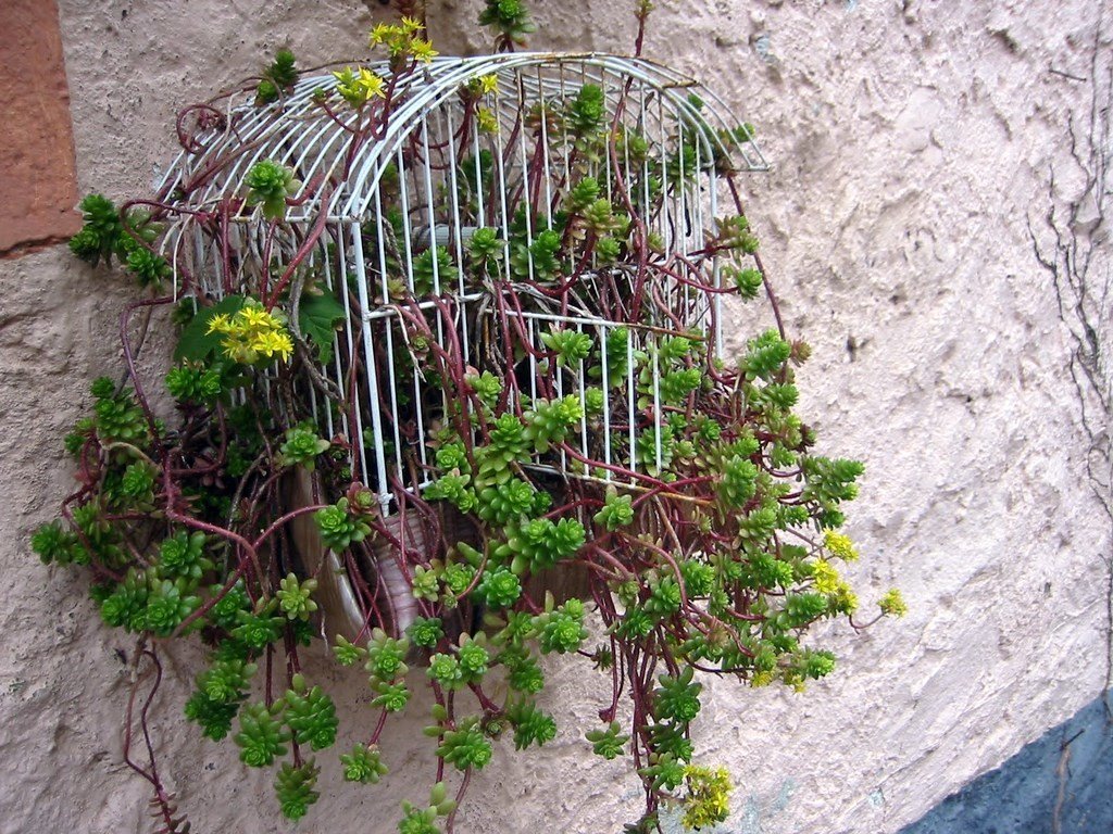 Фотография: Флористика в стиле , Балкон, Декор интерьера, DIY, Дом, Стиль жизни, Цветы, специальная тема: балконы – фото на INMYROOM Фотография: Флористика в стиле , Балкон, Декор интерьера, DIY, Дом, Стиль жизни, Цветы, специальная тема: балконы – фото на INMYROOM