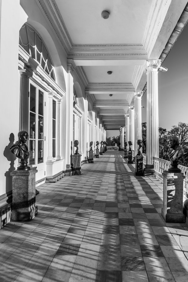 Фото из портфолио Царское село – фотографии дизайна интерьеров на InMyRoom.ru