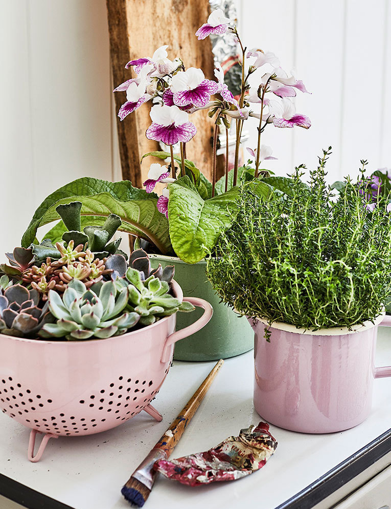 Фотография: Флористика в стиле , Декор интерьера, Зеленый, растения в горшках в интерьере, комнатные растения для ванной комнаты – фото на INMYROOM