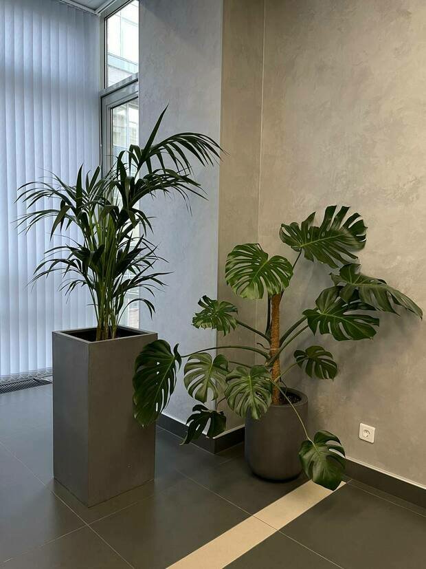 Фото из портфолио АО Банк Россия г. Санкт-Петербург – фотографии дизайна интерьеров на INMYROOM