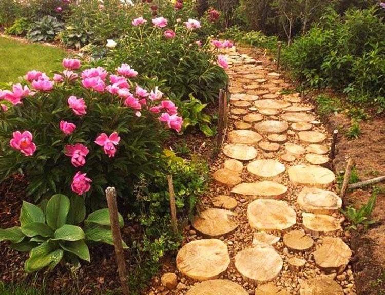 Фотография: в стиле , Ландшафт, Советы – фото на INMYROOM Фотография: в стиле , Ландшафт, Советы – фото на INMYROOM