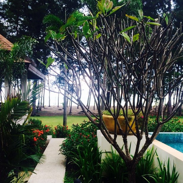 Фото из портфолио Тайское райское место вдали от любопытных глаз – фотографии дизайна интерьеров на INMYROOM