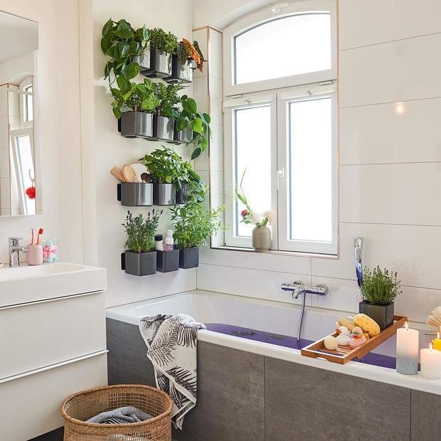 Фото из портфолио GREEN WALL: lechuza на стену – фотографии дизайна интерьеров на INMYROOM