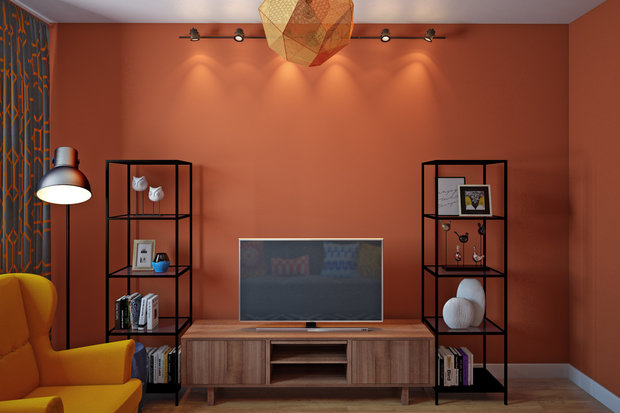 Фото из портфолио "Апельсин в тёплых лапах" – фотографии дизайна интерьеров на INMYROOM