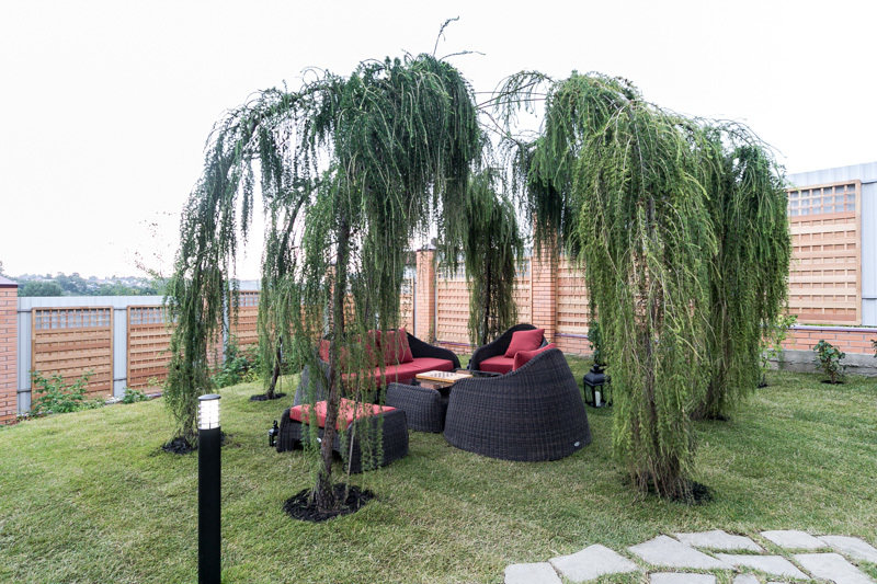 Фотография: Ландшафт в стиле Современный, Стиль жизни, Дачный ответ – фото на INMYROOM Фотография: Ландшафт в стиле Современный, Стиль жизни, Дачный ответ – фото на INMYROOM