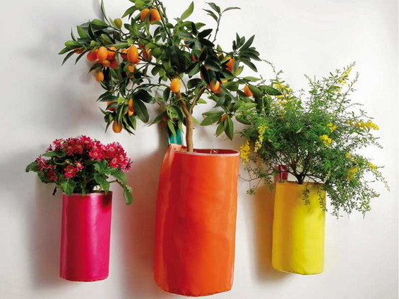 Фотография: Флористика в стиле , Стиль жизни – фото на INMYROOM