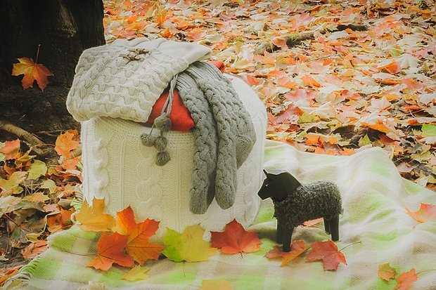 Фото из портфолио Осенняя фотосессия – фотографии дизайна интерьеров на INMYROOM