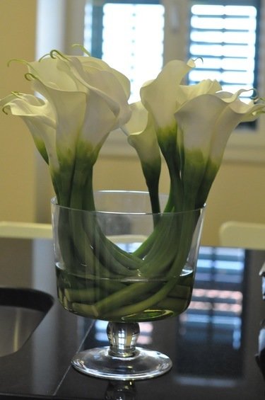 Фотография: Флористика в стиле , DIY, Малогабаритная квартира, Квартира, Дома и квартиры – фото на INMYROOM