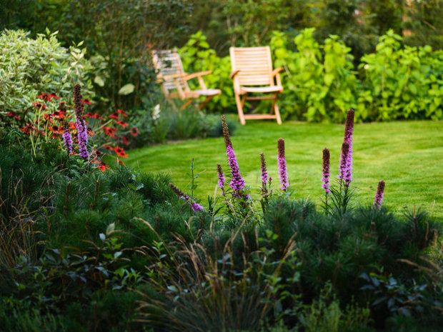 Ландшафт в стиле Эко