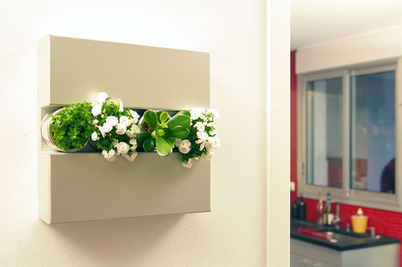 Фотография: Флористика в стиле , Декор интерьера, Офисное пространство, Ландшафт, Стиль жизни – фото на INMYROOM