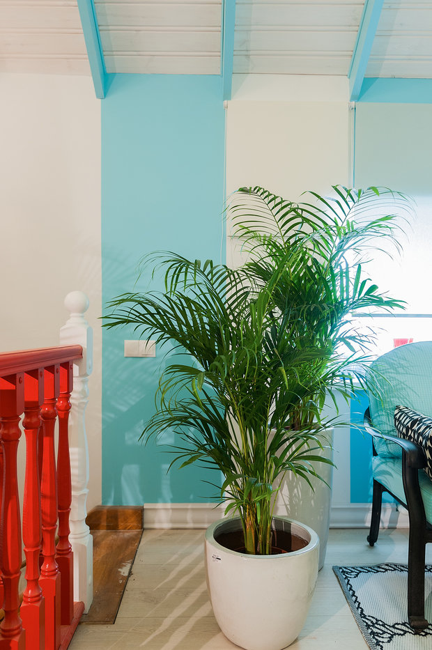 Фотография: Декор в стиле Восточный, Квартира, Дома и квартиры – фото на INMYROOM