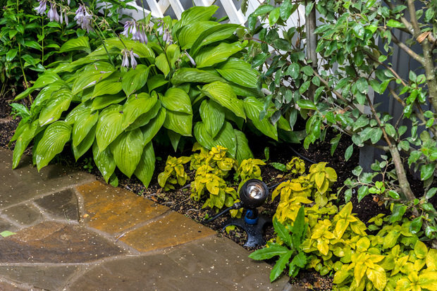 Фотография: Ландшафт в стиле Современный, Дачный ответ, Беседка – фото на INMYROOM