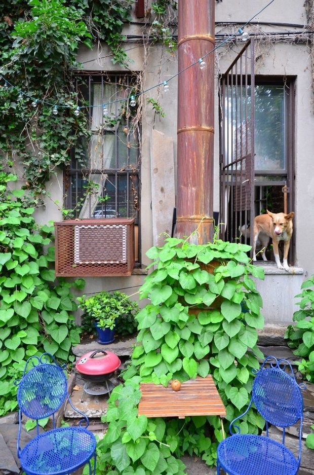 Фото из портфолио 2-х комнатная квартира, East Village, New York – фотографии дизайна интерьеров на INMYROOM