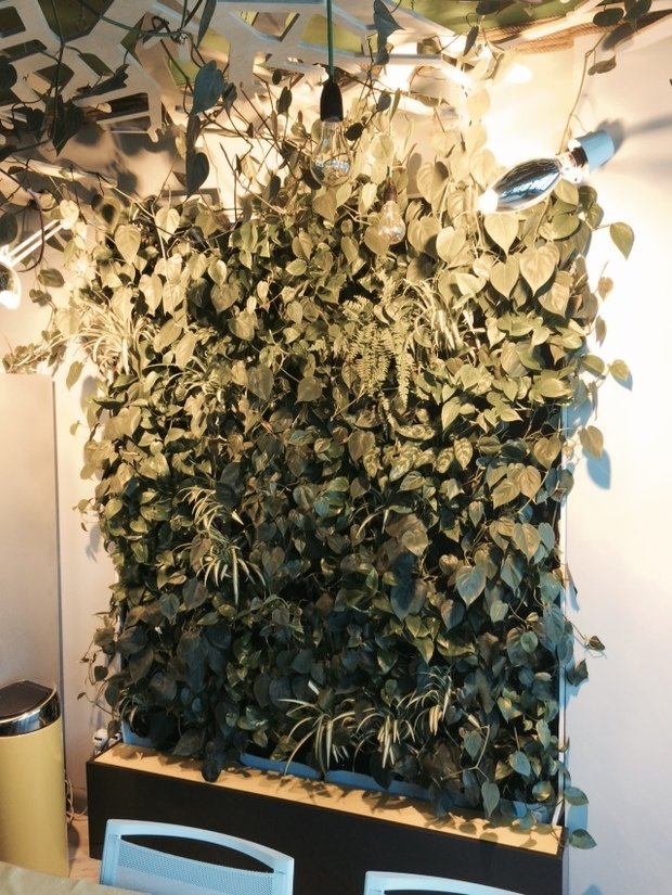 Фото из портфолио Живые стены и картины – фотографии дизайна интерьеров на INMYROOM