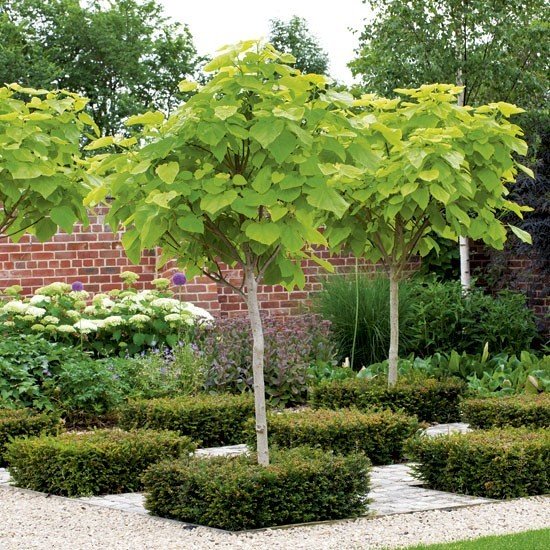 Фотография: Ландшафт в стиле Современный, Стиль жизни – фото на INMYROOM