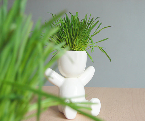 Фотография: Аксессуары в стиле Современный – фото на INMYROOM