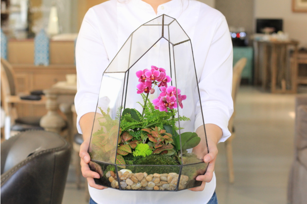 Орхидариум