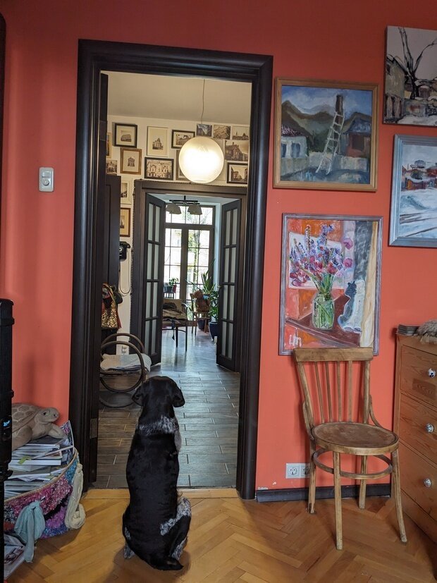 Фотография: Прихожая в стиле Прованс и Кантри, Эклектика, Квартира, Проект дня, Москва, Сталинка, Кирпичный дом, 3 комнаты, 60-90 метров, Винтажный – фото на INMYROOM