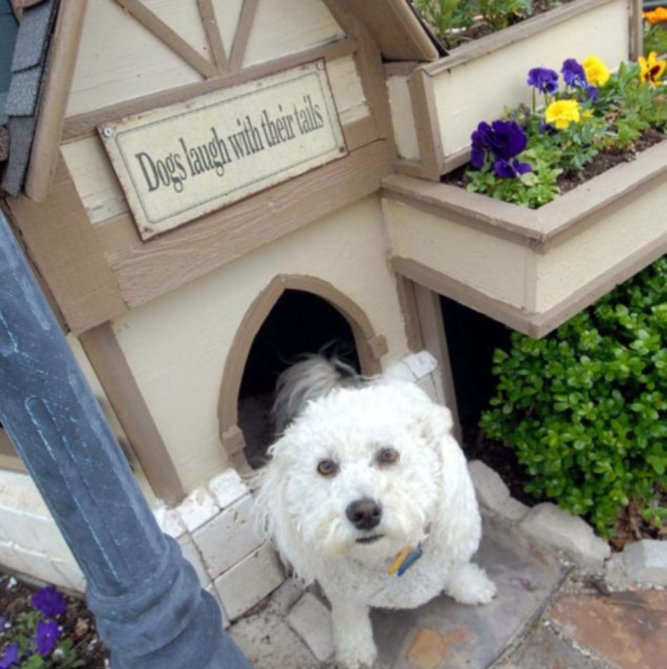 Фотография: в стиле Прованс и Кантри, Современный, Дом, США, Дома и квартиры – фото на INMYROOM Фотография: в стиле Прованс и Кантри, Современный, Дом, США, Дома и квартиры – фото на INMYROOM