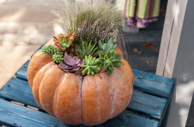 Фотография: Флористика в стиле , Россия, MW-LIGHT, Терраса, Дача, Бежевый, Бирюзовый, Коричневый, Подмосковье, Дом и дача, Фазенда, Home Melody, Luminarc, Cote table, Fashion Terrasa, Хоббика, Уютерра, Трехгорная мануфактура, пристройка веранды, веранда на даче, Ирина Иванова, летняя беседка с летней кухней, летняя кухня, беседка с грилем, летняя веранда, как быстро построить веранду – фото на INMYROOM