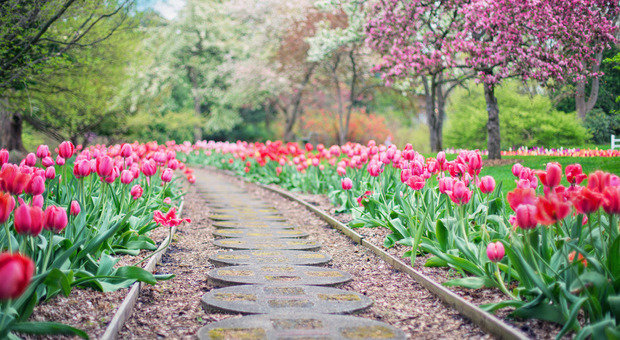 Фотография: Ландшафт в стиле , Дача, Дом и дача, Клининг, Karcher – фото на INMYROOM