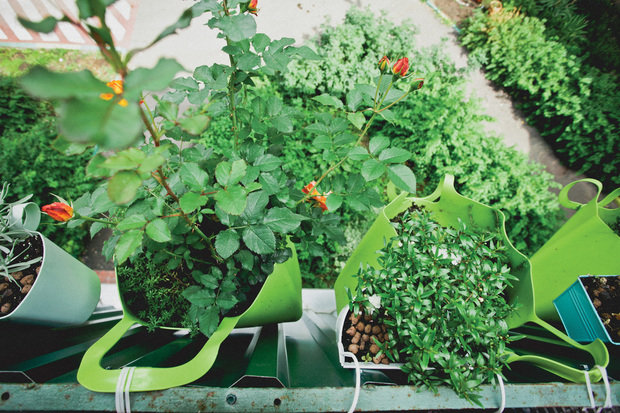 Фотография: Балкон, Терраса в стиле , Декор интерьера, Интерьер комнат – фото на INMYROOM