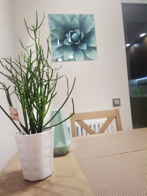 Фото из портфолио NATURE – фотографии дизайна интерьеров на INMYROOM