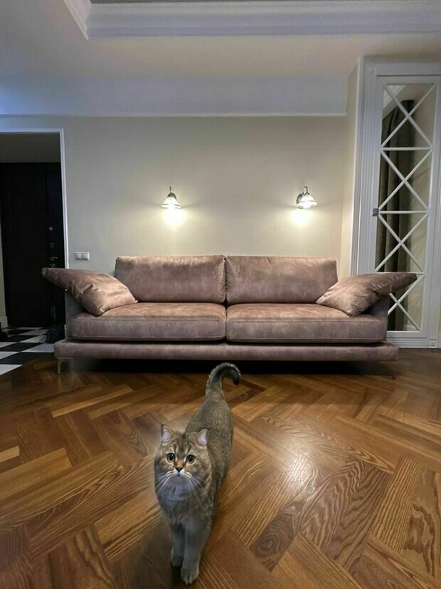 Фото из портфолио saha Ivasa – фотографии дизайна интерьеров на INMYROOM