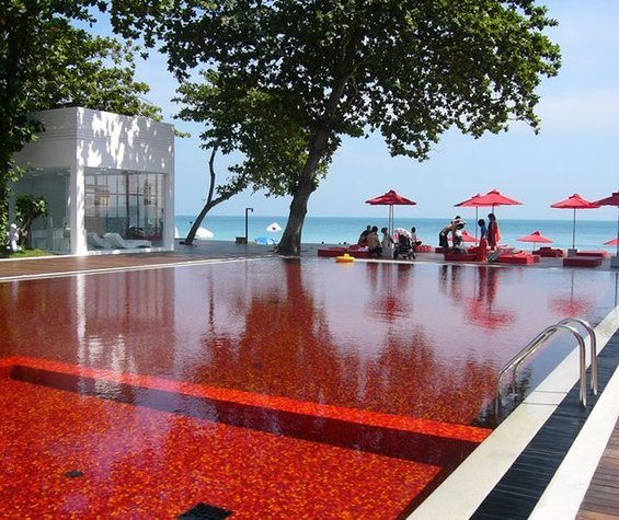 Фотография: Ландшафт в стиле Современный – фото на INMYROOM