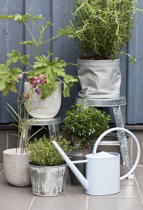 Фотография: Флористика в стиле , Балкон, Интерьер комнат, специальная тема: балконы – фото на INMYROOM Фотография: Флористика в стиле , Балкон, Интерьер комнат, специальная тема: балконы – фото на INMYROOM