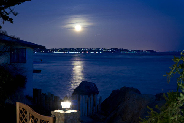 Фотография: Ландшафт в стиле Современный, Декор интерьера, Дом, Дома и квартиры, Интерьеры звезд – фото на INMYROOM