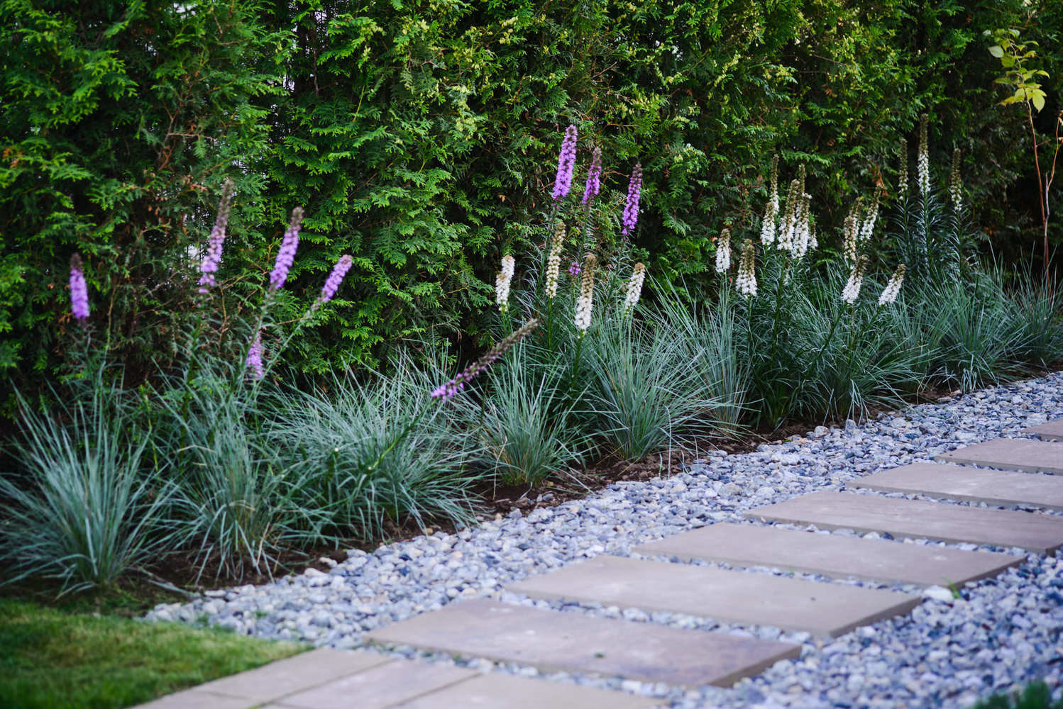 Дизайн: Derevo Park