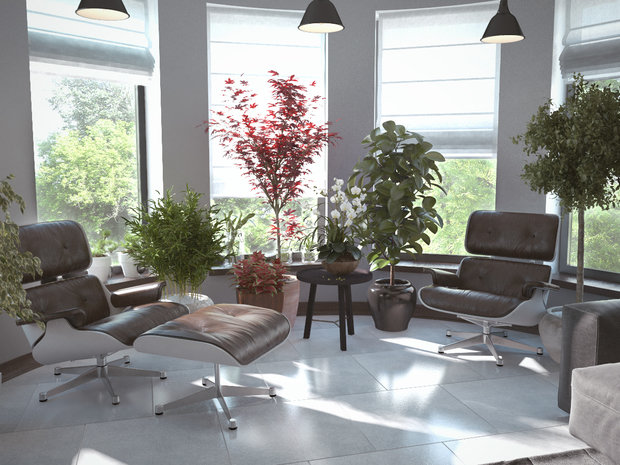 Фотография:  в стиле Современный, Эко – фото на InMyRoom.ru