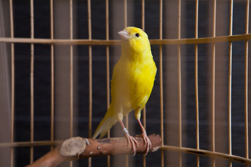 Фотография: Прочее в стиле , Спальня, Восточный, Эклектика, Интерьер комнат, Проект недели – фото на INMYROOM Фотография: Прочее в стиле , Спальня, Восточный, Эклектика, Интерьер комнат, Проект недели – фото на INMYROOM