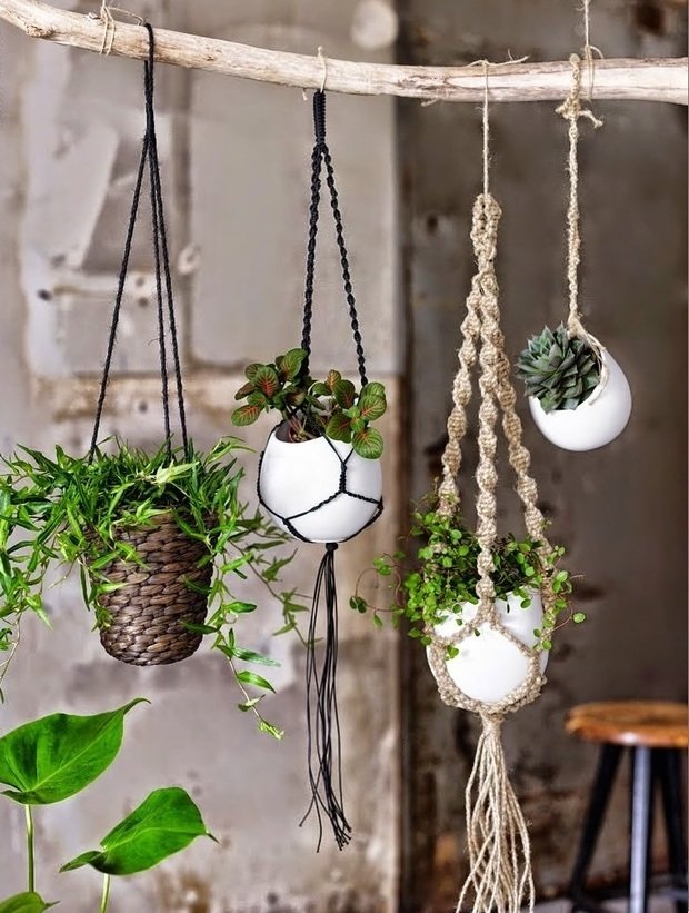 Фотография: Флористика в стиле , Декор интерьера, Зеленый, растения в горшках в интерьере, комнатные растения для ванной комнаты – фото на INMYROOM