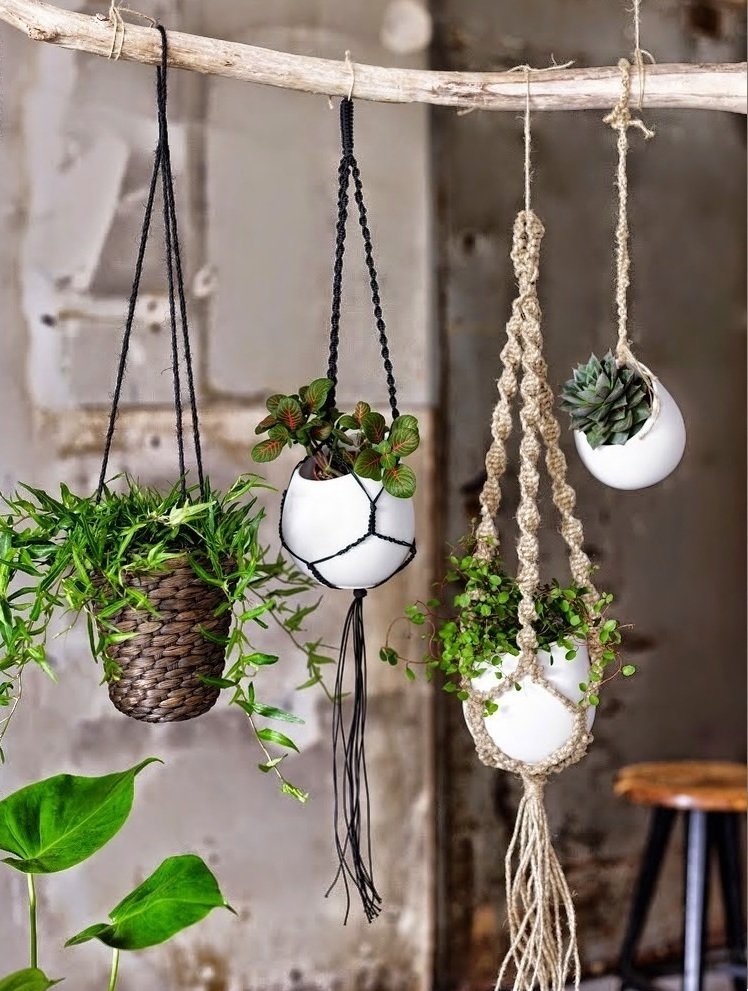 Фотография: Флористика в стиле , Декор интерьера, Зеленый, растения в горшках в интерьере, комнатные растения для ванной комнаты – фото на INMYROOM