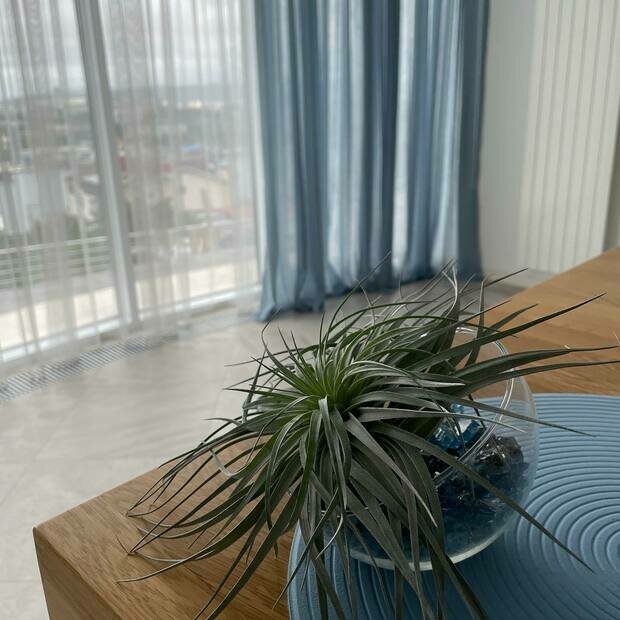 Фото из портфолио Таунхаус г.Владивосток – фотографии дизайна интерьеров на INMYROOM