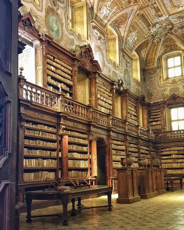 Интерьер кабинета в классическом стиле с высокими книжными стеллажами