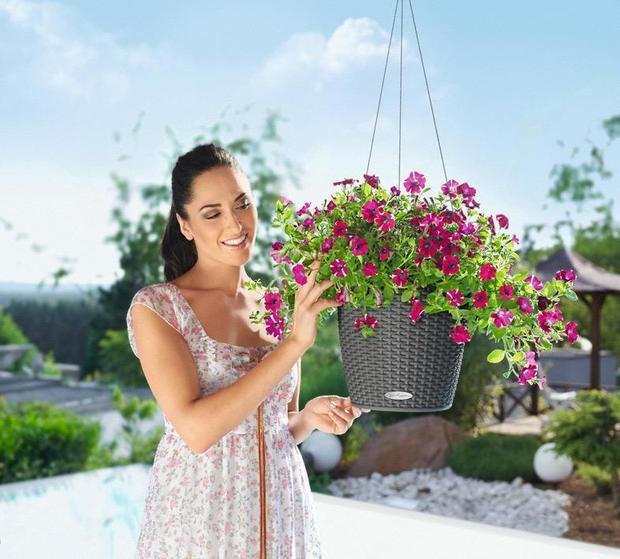 Фото из портфолио Цветочный горшок с автополивом LECHUZA (Лечуза) NIDO – фотографии дизайна интерьеров на INMYROOM