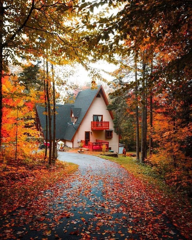 Фотография:  в стиле , Гид – фото на INMYROOM